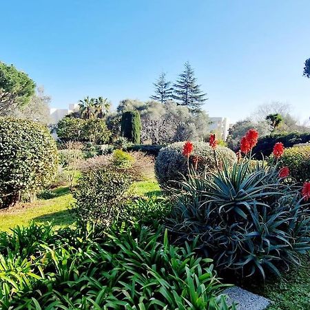 Studio Antibes Avec Piscine Extérieur photo