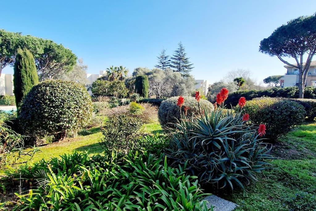 Studio Antibes Avec Piscine Extérieur photo